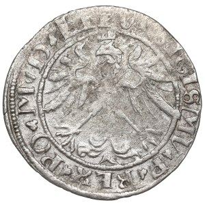 Sigismund I the Old, Groat 1536, Vilnius