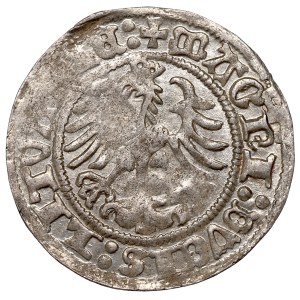Zygmunt I Stary, Półgrosz 1517, Wilno