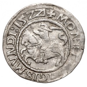 Sigismund I the Old, Halfgroat 1521, Vilnius