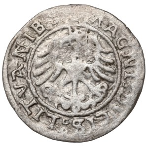 Sigismund I the Old, Halfgroat 1521, Vilnius