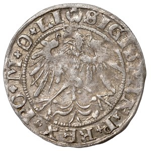 Zygmunt I Stary, Grosz 1536, Wilno - czerwiec LI/LITVA