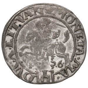 Sigismondo I il Vecchio, Grosz 1536, Vilnius - febbraio LITV/LITVAN