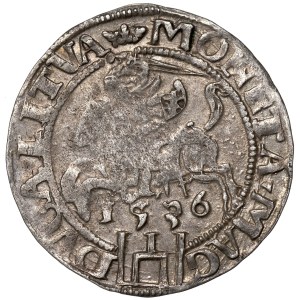 Sigismondo I il Vecchio, Grosz del 1536, Vilnius - febbraio LIT/LITVA