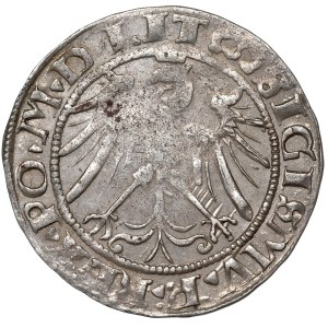 Sigismondo I il Vecchio, Grosz del 1536, Vilnius - febbraio LIT/LITVA