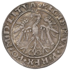 Sigismund I the Old, Groat 1536, Vilnius