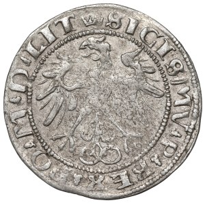 Sigismund I the Old, Groat 1536, Vilnius