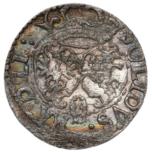 Zygmunt III. Vasa, šeląg z roku 1619, Vilnius