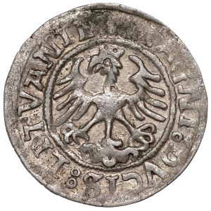 Sigismund I the Old, Halfgroat 1522, Vilnius