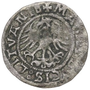 Sigismund I the Old, Halfgroat 1521, Vilnius