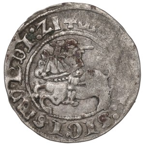 Zygmunt I Stary, Półgrosz 1512, Wilno - błąd Z1