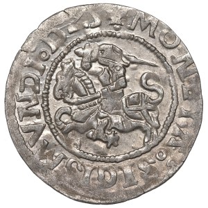 Zygmunt I. Starý, polgroš z roku 1525, Vilnius