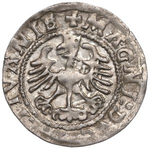 Sigismund I the Old, Halfgroat 1524, Vilnius