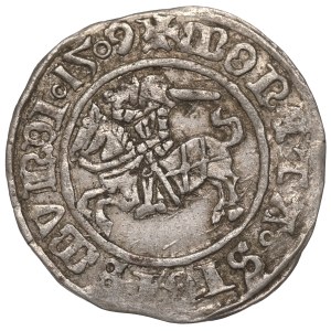 Sigismund I. der Alte, Halbgroschen 1509, Vilnius