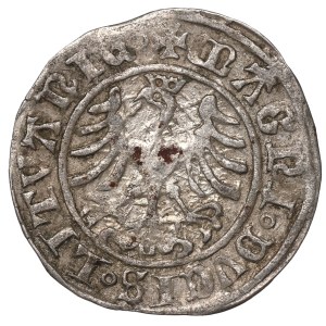 Sigismund I. der Alte, Halbgroschen 1509, Vilnius
