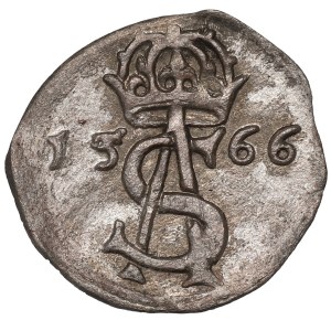 Sigismund II Augustus, 2 denarii 1566, Vilnius