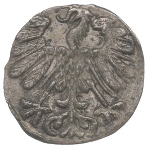 Sigismund II Augustus, Denarius 1558, Vilnius