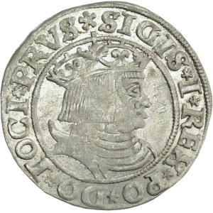 Sigismund I the Old, Grosz for the Prussian lands 1531, Toruń