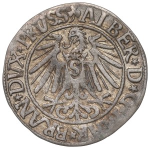 Prusy Książęce, Albrecht Hohenzollern, Grosz 1545, Królewiec