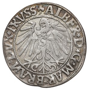 Prusy Książęce, Albrecht Hohenzollern, Grosz 1545, Królewiec