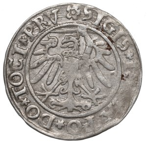 Sigismund I the Old, Grosz 153(?), Elbląg