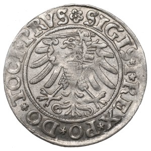 Sigismund I the Old, Groschen 1533, Elbing