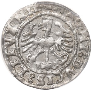 Sigismund I the Old, Half-groat 1527, Vilnius - PCGS MS62