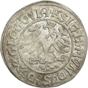 Sigismund I the Old, undated grosz, Głogów - rare