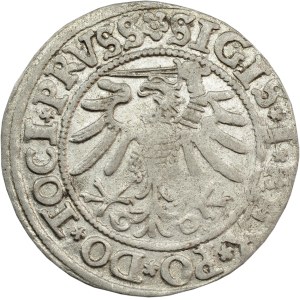Sigismund I the Old, Grosz 1533, Elbląg - rarer