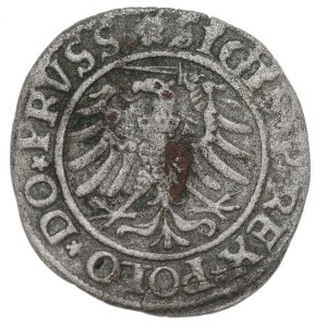 Sigismund I the Old, Schilling 1532, Elbing