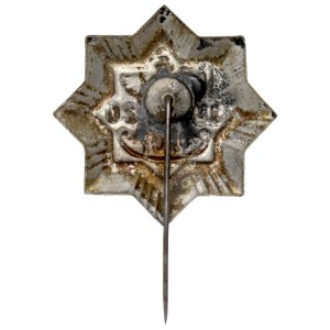 Second Polish Republic, Civic Committee for the Defense of the State Badge, 1920