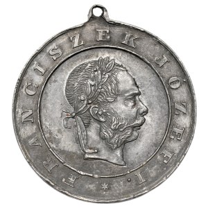 1880 Medal Commemorating the Emperor's Visit to Galicia