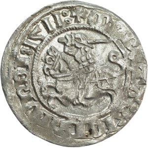 Zygmunt I Stary, Półgrosz 1511, Wilno, dwa kółka - atrakcyjny