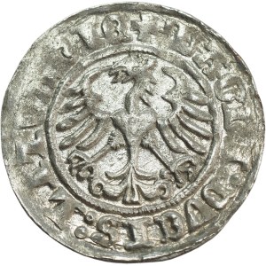 Zygmunt I Stary, Półgrosz 1511, Wilno, dwa kółka - atrakcyjny