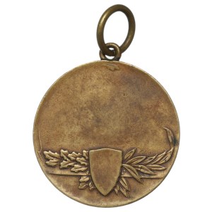 Second Polish Republic, Józef Piłsudski Commemorative Medal