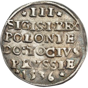 Sigismund I the Old, Trojak 1536, Elbląg - attractive