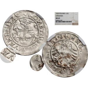 Sigismund I the Old, Half-grosz 1520, Vilnius - NGC MS63 MAX