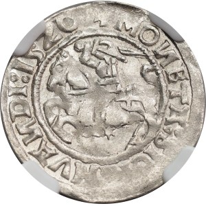Sigismund I the Old, Half-grosz 1520, Vilnius - NGC MS63 MAX
