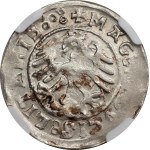 Sigismund I the Old, Half-grosz 1520, Vilnius - NGC MS63 MAX