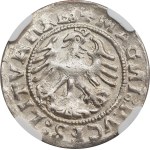 Sigismund I the Old, Half-grosz 1519, Vilnius - NGC MS63 2-MAX
