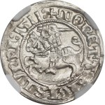 Sigismund I the Old, Half-grosz 1511, Vilnius - NGC MS64 MAX