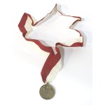Polish Community in the U.S., Award Medal of the Polish Falcon in America