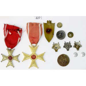 Europa, Collezione di distintivi e onorificenze – principalmente Polonia