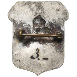 NKN, Strength and the Future Lie in Unity Badge, 1916