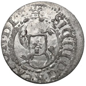Zikmund III. Vasa, šelág z roku 1617, Riga