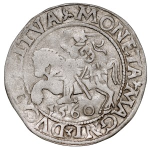 Sigismund II Augustus, 1545–1572, Half-grosz, 1560, Vilnius. Rosette.