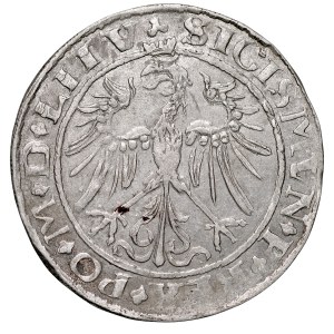Sigismund I. der Alte 1506–1548, Groschen 1536, Vilnius. RRR. Rundes Wappen mit der „Pogoń“.