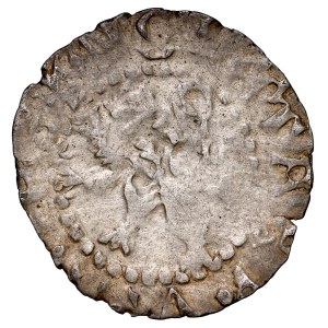 Ludwik Węgierski 1370-1382, Kwartnik ruski, Av.: Ukoronowana litera L, Rv.: Lew w prawo.
