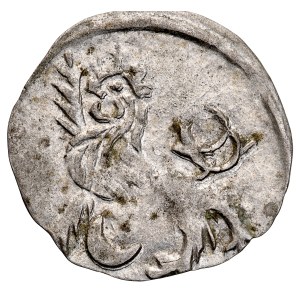 Silesia, Duchy of Wrocław, Sigismund of Luxembourg 1419–1437, haler, ca. 1422, obverse: Head of St. John; reverse: Bohemian Lion, Wrocław.