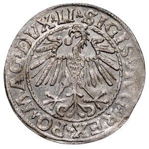 Sigismund II Augustus, 1545–1572, Half-groschen, 1548, Vilnius.