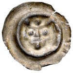 Vedi simili